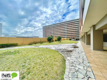 ���̑��@���L��