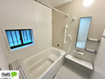 �����@�{�H��ʐ^�@�����������F���̗����ŁA1���̔��������������Ă��������B