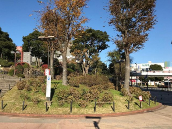 ���ӊ��@�Óc������ �k��7���B 560m