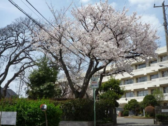 ���ӊ��@�D���s���@���䏬�w�Z �k��20���B 1530m