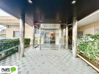 �G���g�����X�@�L�X�Ƃ������ꂢ�ȃG���g�����X