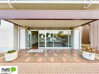 �G���g�����X�@�L�X�Ƃ������ꂢ�ȃG���g�����X