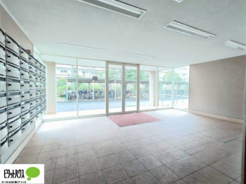 ���̑��@�L�X�Ƃ������ꂢ�ȃG���g�����X