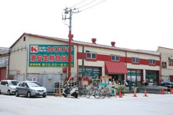 ���ӊ��@�X�[�p�[�`�F�[���J���O�`���N�H�i�� �k��2���B 160m