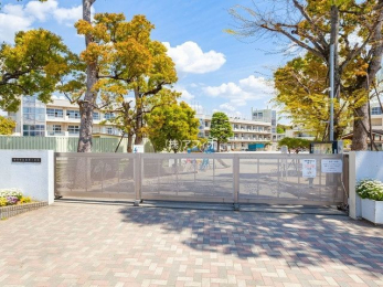 ���ӊ��@�s��s���@�^�ԏ��w�Z �k��8���B 637m