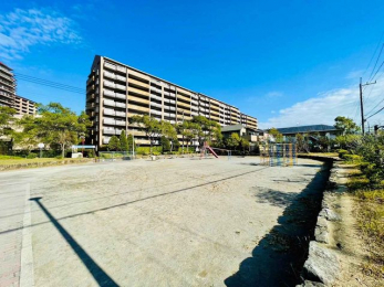 ���ӊ��@���邪������ �k��15���B 1130m