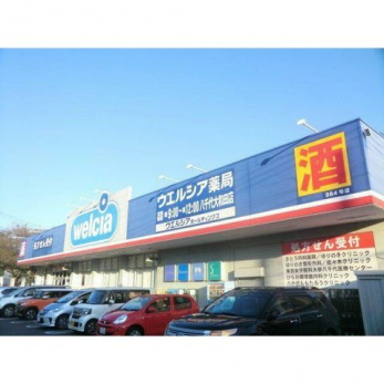 ���ӊ��@�E�G���V�A������a�c�X �k��3���B 210m