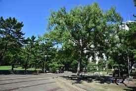 ���ӊ��@�^����2���� �k��5���B 370m