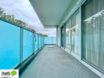 �o���R�j�[�@�z������̗ǂ��L�X�o���R�j�[�B