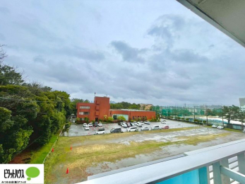 ���̑��@�o���R�j�[����̒��]�B