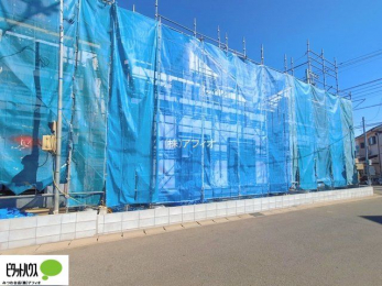 �O�ώʐ^�@���n�����ʐ^�F2��19��