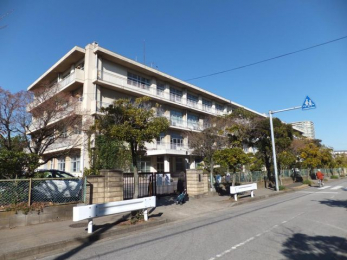 ���ӊ��@��t�s�����l���w�Z �k��8���B 700m