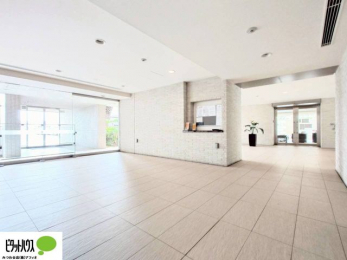 �G���g�����X�@�L�X�Ƃ������ꂢ�ȃG���g�����X