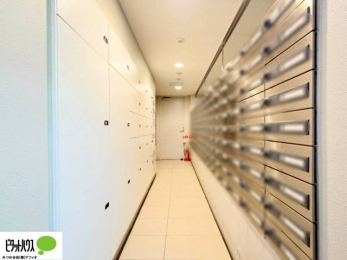 ���̑��@��z�{�b�N�X