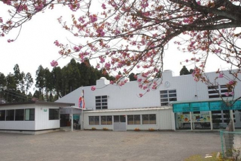 ���ӊ��@�F�肱�ǂ������˗c�t�� �k��24���B 1910m