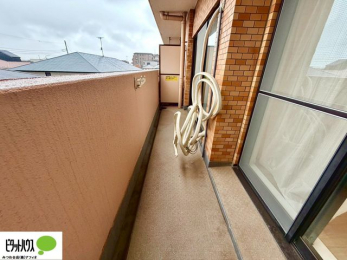 �o���R�j�[�@�z������̗ǂ��L�X�o���R�j�[�B