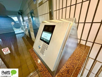 ���̑��@�I�[�g���b�N