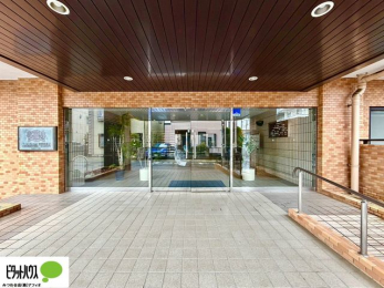 �G���g�����X�@�L�X�Ƃ������ꂢ�ȃG���g�����X