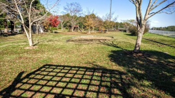 ���ӊ��@���[�\���Ό��{�[�X �k��4���B 290m