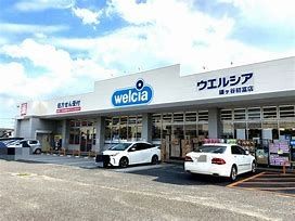 ���ӊ��@�E�G���V�A���P�J���x�X �k��6���B 430m