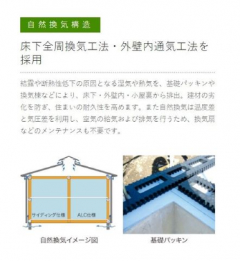 ���̑��@�|���������H�ɋ����|�������B�����̏����x���鏰���Ƃ����x���ނɎK��V���A�����񂹕t���Ȃ��|���̏����̗p�B