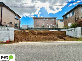 �O�ώʐ^�@���n�����ʐ^