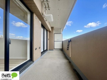 �o���R�j�[�@�z�c�₽������̐��󕨂������郏�C�h�o���R�j�[