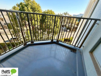 ���ց@�z������̗ǂ��o���R�j�[�B