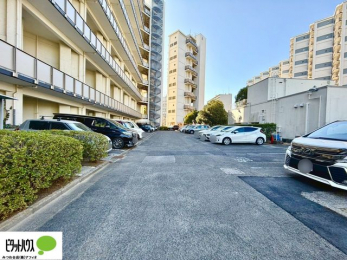 ���̑��@�J�[�X�y�[�X