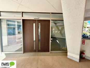 ���̑��@�L�X�Ƃ������ꂢ�ȃG���g�����X