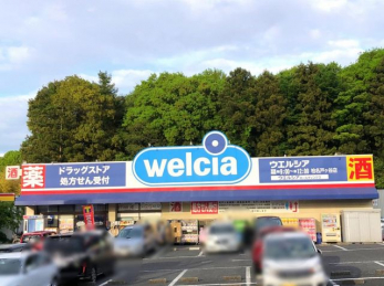 ���ӊ��@�E�G���V�A�����˃��J�X �k��15���B 1160m