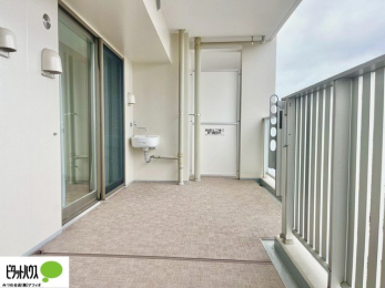 �o���R�j�[�@�z�c�₽������̐��󕨂������郏�C�h�o���R�j�[