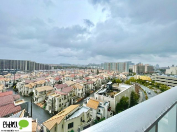 ���̑��@�o���R�j�[����̒��]�B