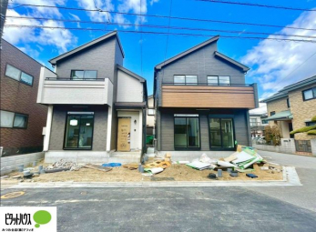 �O�ώʐ^�@3��9���@���n�����ʐ^