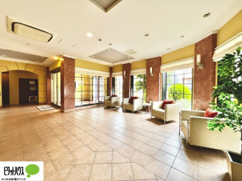 �G���g�����X�@�L�X�Ƃ������ꂢ�ȃG���g�����X