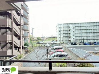 ���̑��@�J�[�X�y�[�X