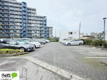 ���̑��@�J�[�X�y�[�X