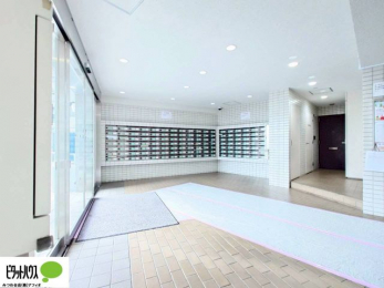 �G���g�����X�@�L�X�Ƃ������ꂢ�ȃG���g�����X