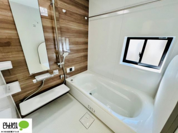 �����@�{�H��ʐ^�@�����������F���̗����ŁA1���̔��������������Ă��������B