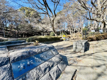 �����@�L�X�o�X���[���ň���̔��������������܂��B