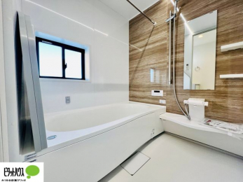 �����@�{�H��ʐ^�@�����������F���̗����ŁA1���̔��������������Ă��������B