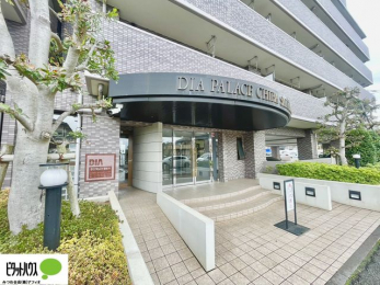 ���̑��@�L�X�Ƃ������ꂢ�ȃG���g�����X