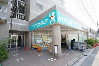 ���ӊ��@�A�^�b�N�K�u�����X �k��11���B 880m