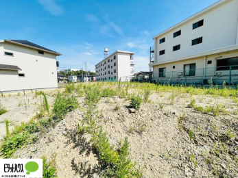 �y�n�ʐ^�@7/31