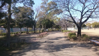 ���ӊ��@�������� �k��12���B 950m