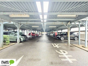 �O�ώʐ^�@�J�[�X�y�[�X