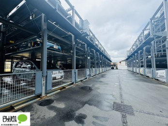 ���̑��@�J�[�X�y�[�X