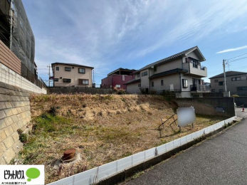 �y�n�ʐ^�@�~�n�L�X��105��