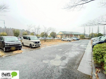 ���̑��@�J�[�X�y�[�X