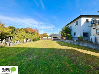 �y�n�ʐ^�@�~�n�L�X��106��